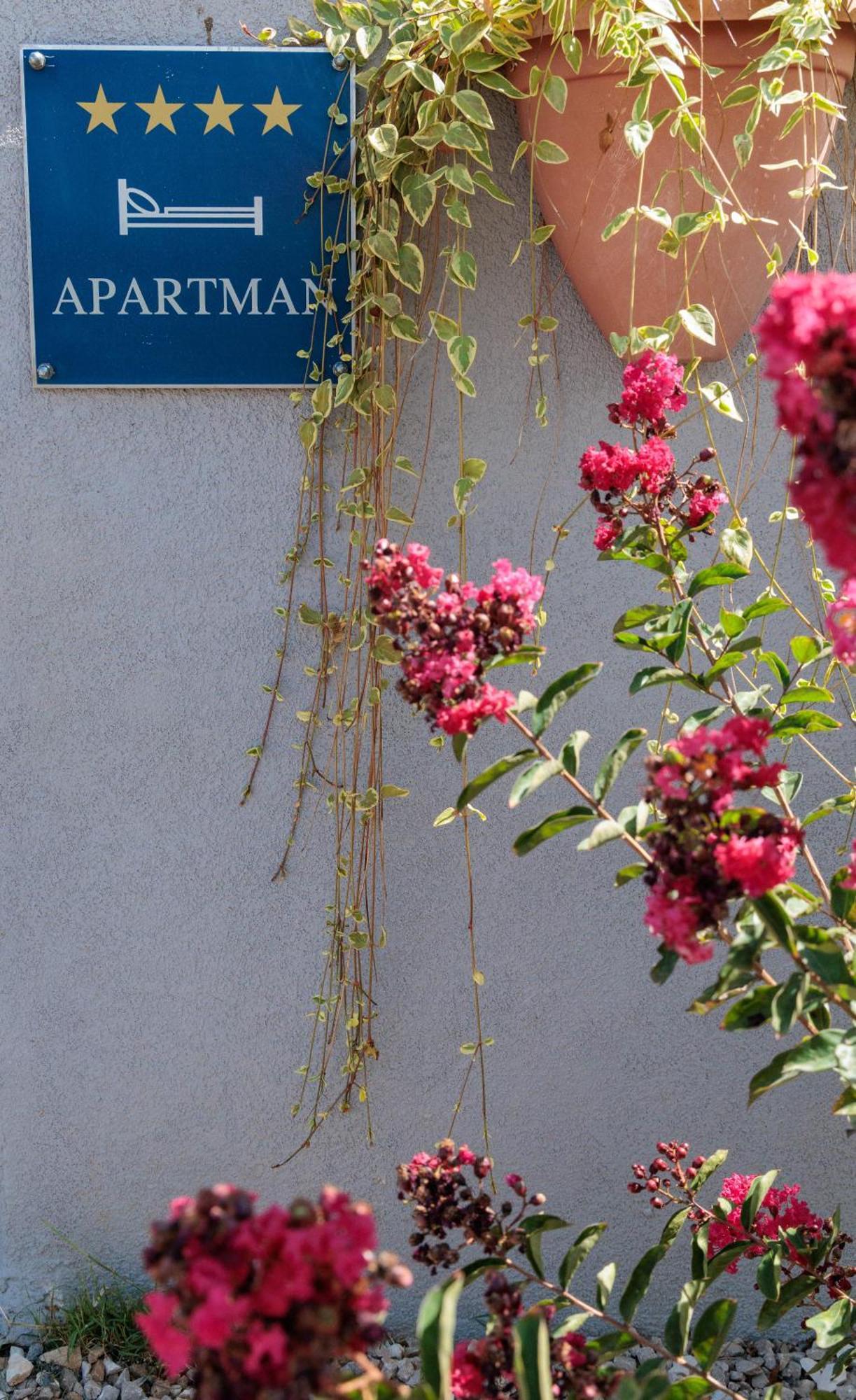 Luxury Apartment Alba With Pool Канфанар Экстерьер фото